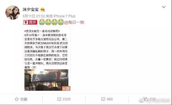 【为什么】宠物当行李托运？金毛途中死亡……