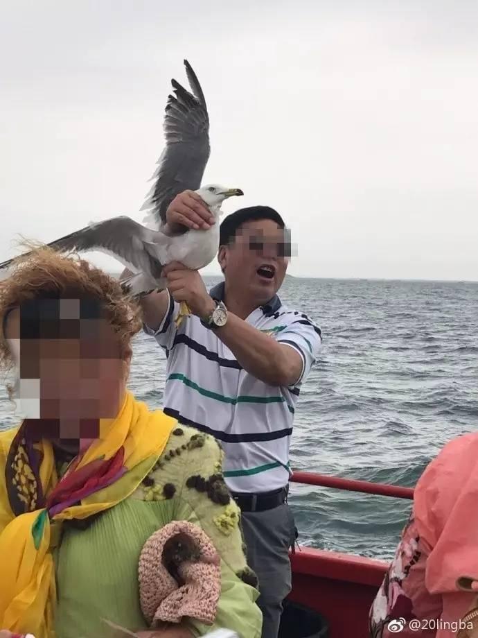 一帮男女出海诱捕海鸥拍照，鸟的脖子和翅膀都快扯断了！