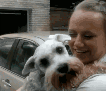 狗狗见到两个月没回家的主人,激动的大脑缺氧差点窒息