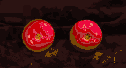 特邀嘉宾苍井空,带你走进女性乳房世界