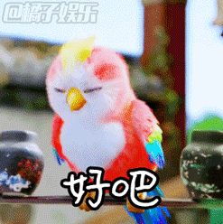 会动的表情包太好用了吧