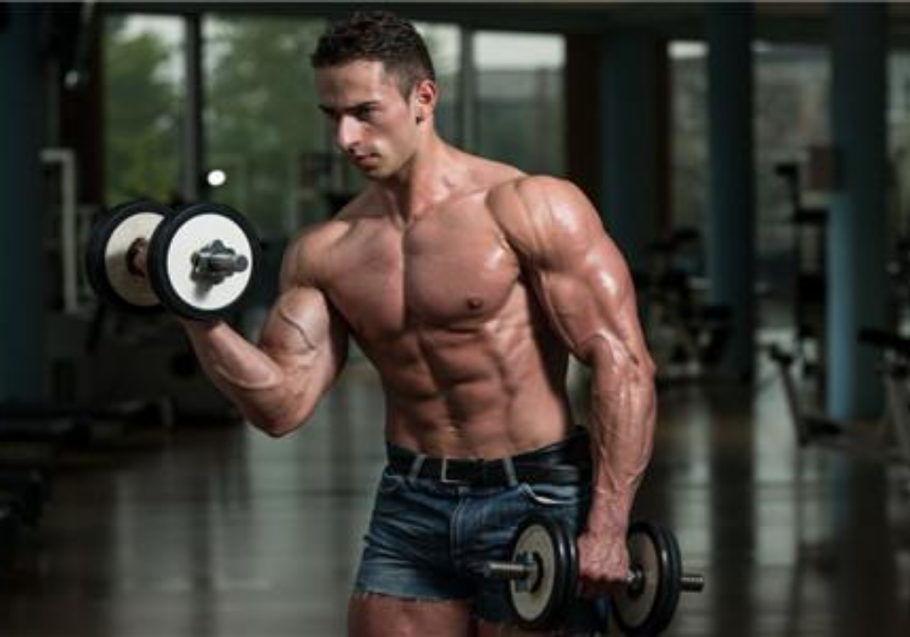 手臂训练杠铃弯举和哑铃弯举哪个更好!_凤凰资讯