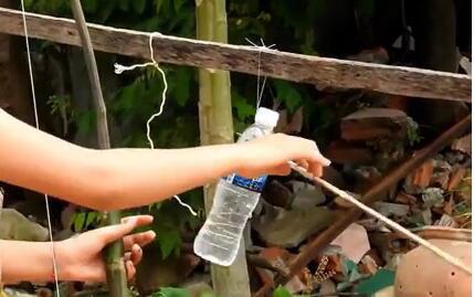 农村女孩自制弓箭打鱼,箭无虚发!