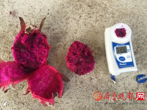 打造优质火龙果直供,丰诚上品深化农产品供应