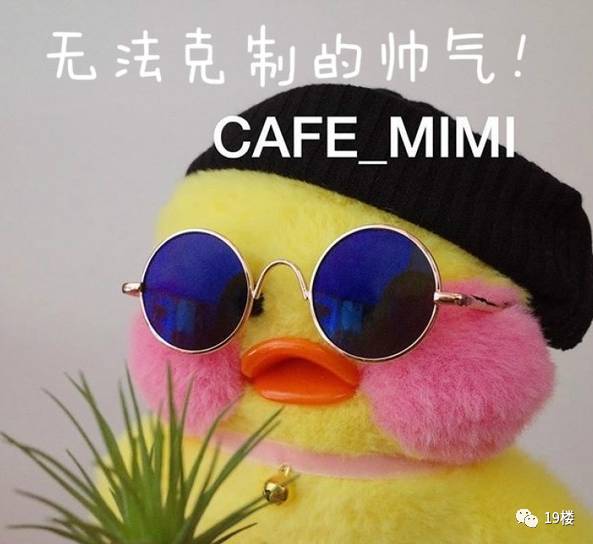新表情帝!朋友圈表情好友全换成它了.玻尿酸头像斗方言包台湾图图片