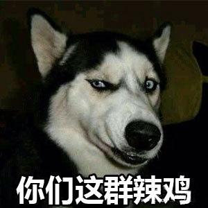 哈士奇表情包|这样的二哈,你还爱吗?