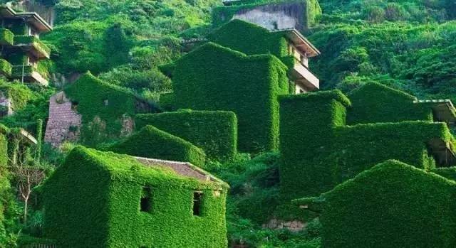 中国有一个小岛，被遗弃了20年，却美成了天堂！