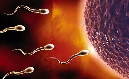 受精只需一颗精子，为啥男人一次要射好几亿“小蝌蚪”？