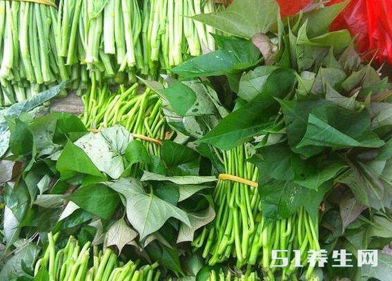 红薯叶 红薯叶