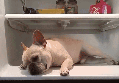 标题:行走的制冷便当盒,热浪中也能吃到一口清凉了 空姐说: 今天夏至