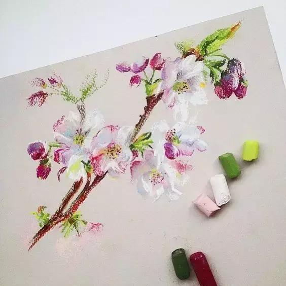 德国的艺术家Lenokdih用粉笔画出的花朵,一点