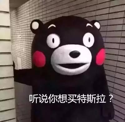 新能源汽车领域地震:特斯拉要在上海建厂了!