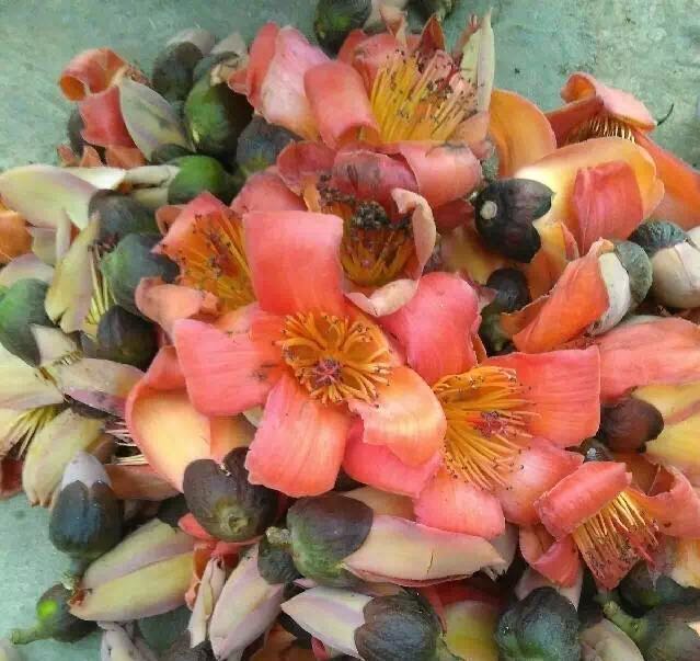 微信图片_20170622141043