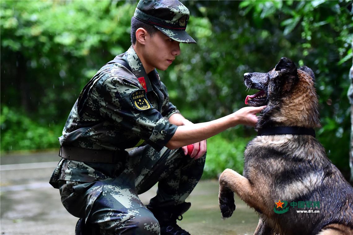 狼兵血性这样练!  "90后"武警战士与军犬暴雨中苦练