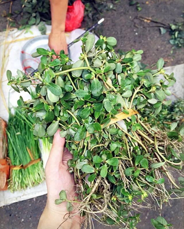 微信图片_20170622141028