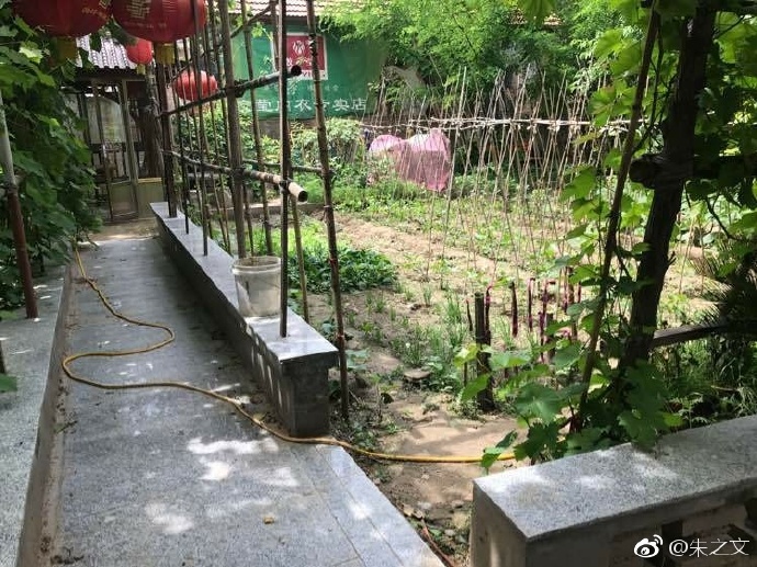 文章配图
