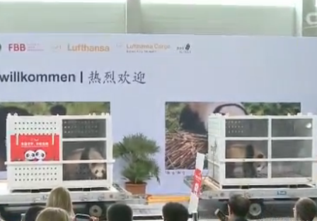 时隔五年 德国柏林再次喜迎中国萌物大熊猫