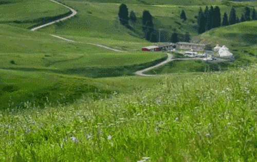有这样一个地方  天山脚下的最美牧村  雪山,草原,花海,山林,麦浪