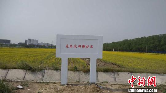 北京划定永久基本农田151.6万亩：形成开发实体边界