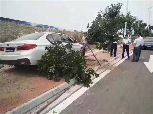 宝马全新5系国内首撞:看着都心疼