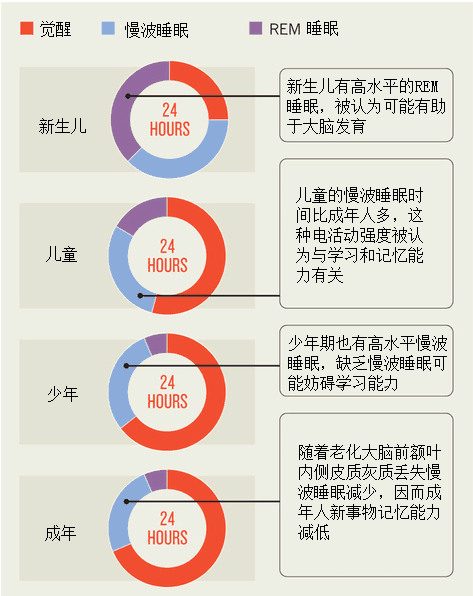 深度睡眠是什么?多久为最佳?