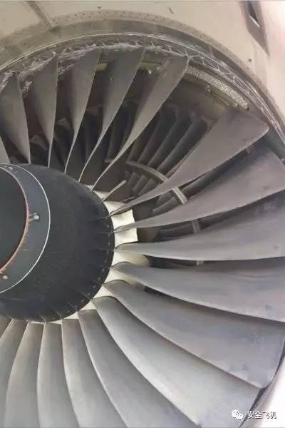 空险5丨反正发生空难安全带也救不了你!哥国一