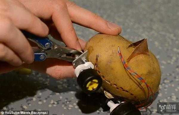 全球第一个自动驾驶土豆诞生：就是有点慢