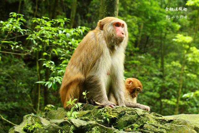 中国改名最成功的城市,改名后闻名世界