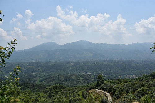 江津:李市镇猫山远眺 心旷神怡