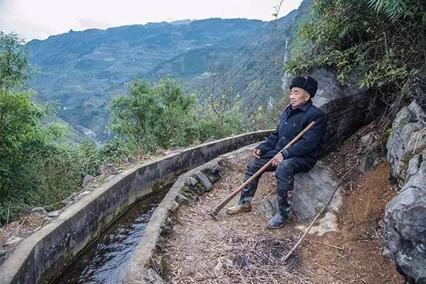 遵义县有多少人口_人间晴回暖 都当爱装下(3)