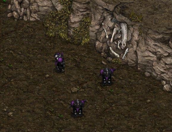 4K重制版《星际争霸》国服98元开卖:结果竟是Bug