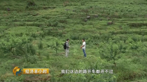 【热点】我要当农民！摇身一变成股东，一亩地年分红就超千元！