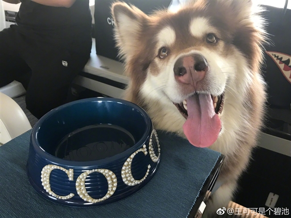 ��˼�ϴ���Ȯ��˽��ר�� �ܺ�t��̫�͵�