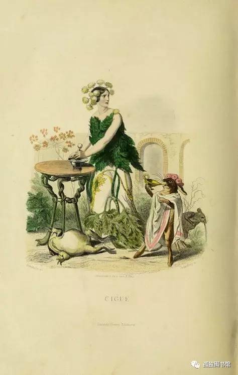 649DD1BF8F89B585598E57AB750A1FF0B03E381F_size32_w474_h747.jpeg