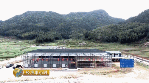 【热点】我要当农民！摇身一变成股东，一亩地年分红就超千元！
