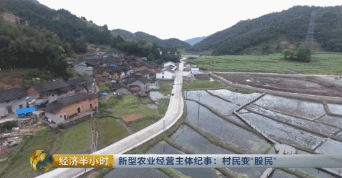 【热点】我要当农民！摇身一变成股东，一亩地年分红就超千元！