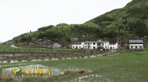 【热点】我要当农民！摇身一变成股东，一亩地年分红就超千元！