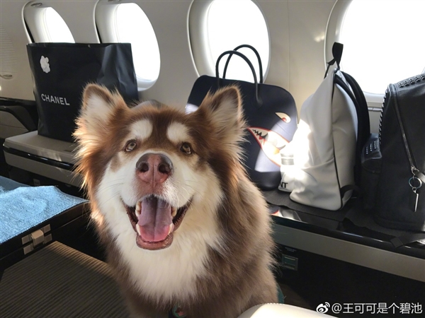 ��˼�ϴ���Ȯ��˽��ר�� �ܺ�t��̫�͵�