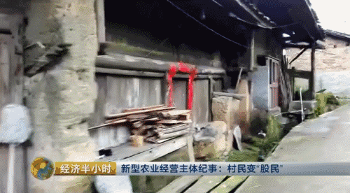 【热点】我要当农民！摇身一变成股东，一亩地年分红就超千元！