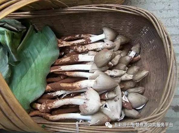 美味德昌|雨过天晴,德昌最鲜美的野味素食也破惠州昆山南美食图片