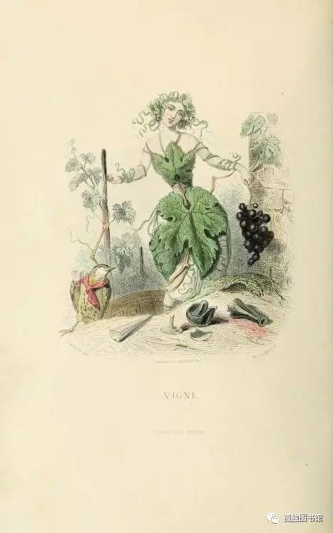 E7BD16067C05CC0CC8CF9D6C4DA6A5E2F8F61C4D_size31_w467_h747.jpeg