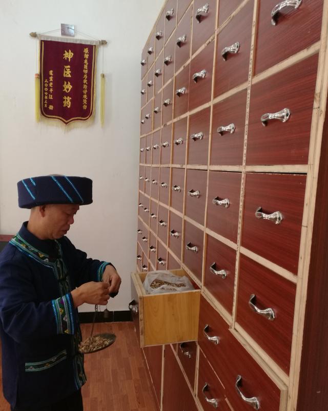 深山采药、亲尝百草|侗医杨邵臣的一天