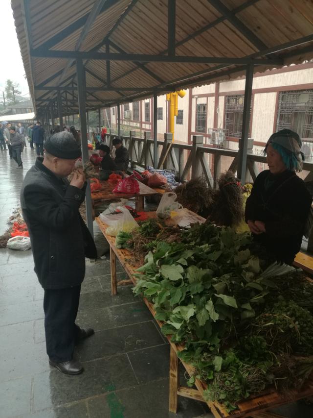 深山采药、亲尝百草|侗医杨邵臣的一天