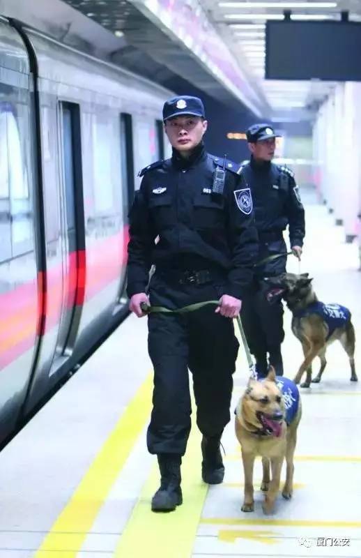 重磅发布:厦门招250名地铁辅警!不限户籍!学历