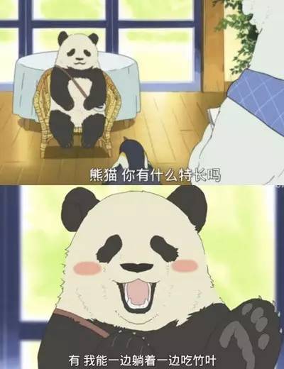 大熊猫被“脱裤子”照网络爆红！熊猫：我不要面子啊？！
