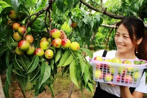 中国农业变天了，你感受到了吗？
