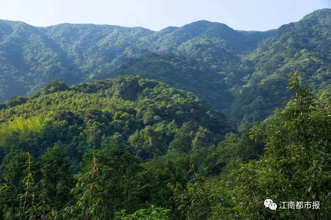 井冈山在江西省哪个县 73A9CE63CB2972F2A0D83463ECFE67CD3F25BCE5_size188_w1280_h853.jpeg