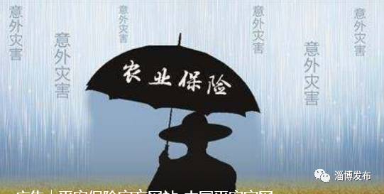 山东省在淄博开展农业大灾保险试点工作