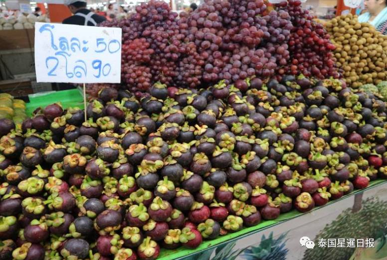 泰国国贸厅拟推动南部水果热销海内外市场