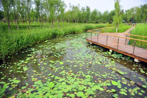 济南华山湿地公园初显型 有山有水有美景